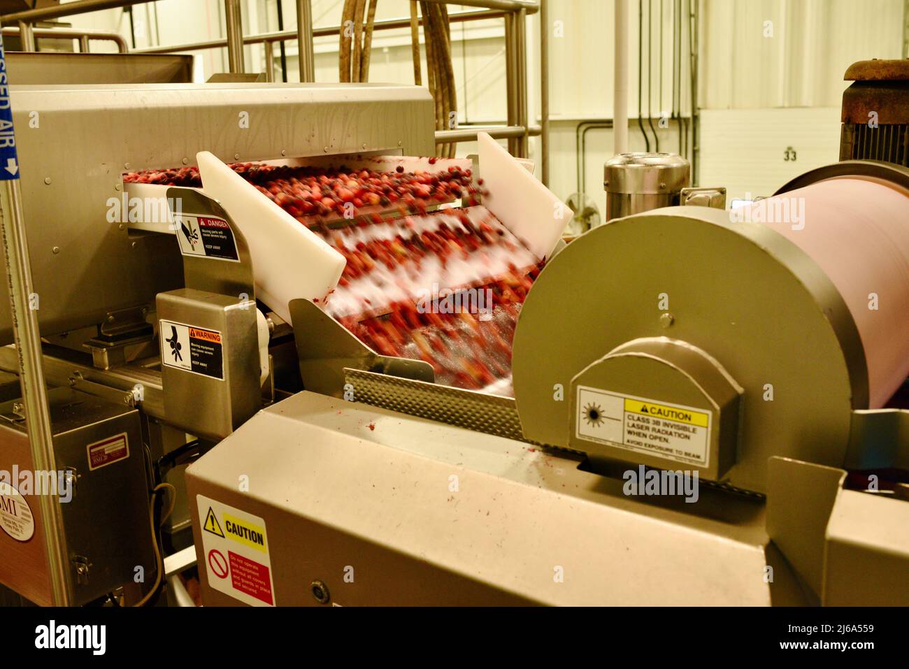 Lavorazione di mirtilli nella moderna e all'avanguardia fabbrica Ocean Spray a Wisconsin Rapids, Wisconsin, USA Foto Stock