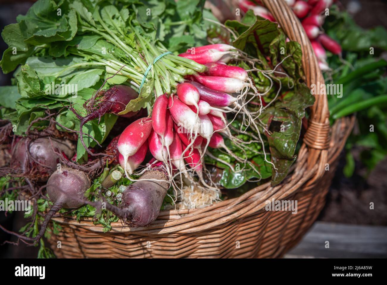 verdure fresche e assaggiate di carri su un mercato Foto Stock