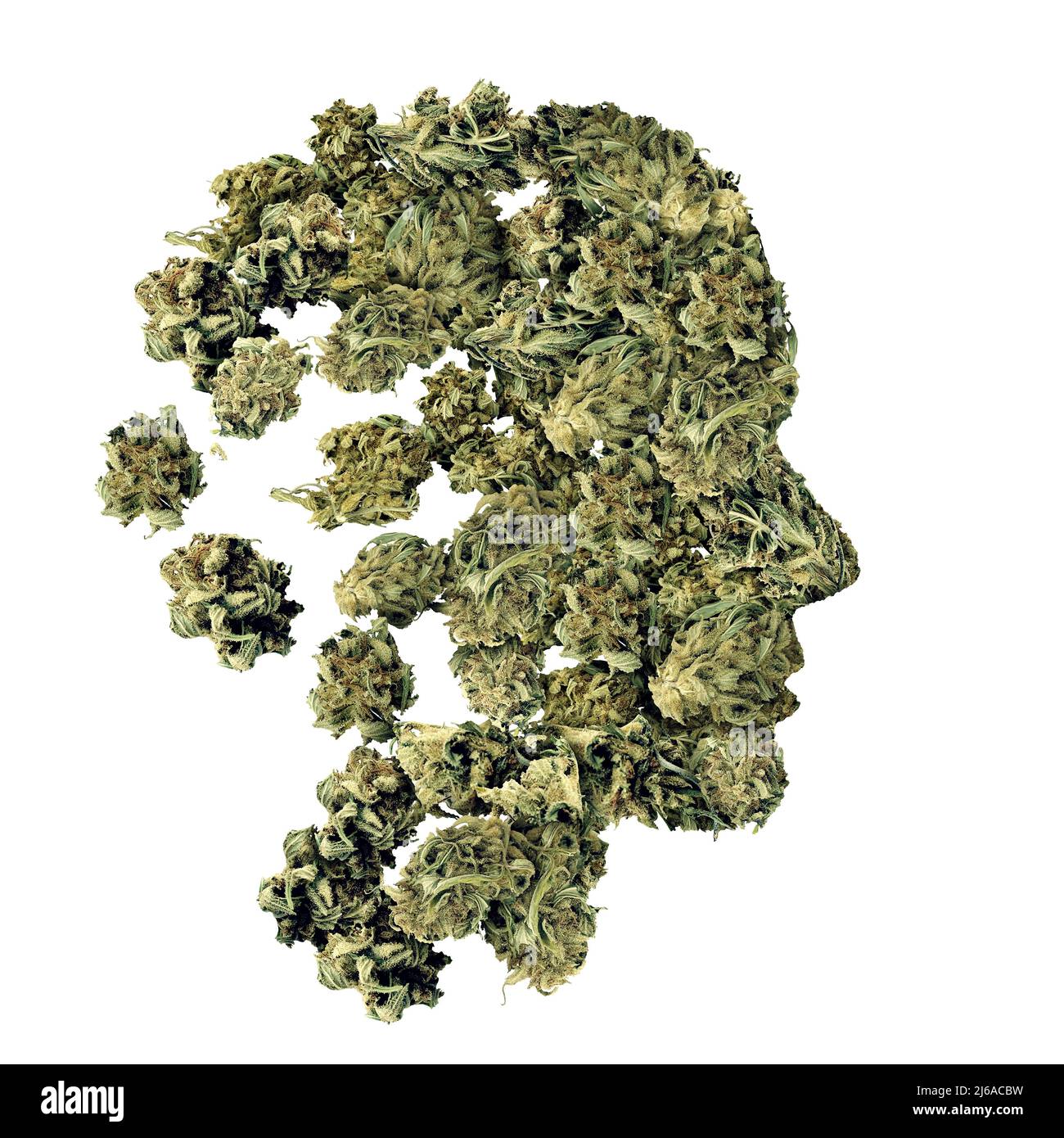 Cannabis e salute umana concetto di assistenza sanitaria psicoattiva medica marijuana con cannabis medicinale legale come metafora per la terapia alternativa. Foto Stock