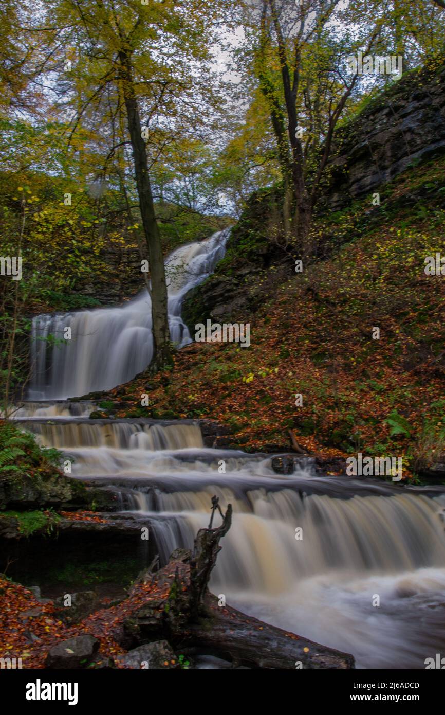 Forza di Scaleber, situata nell'area settentrionale delle valli dello Yorkshire vicino a Settle. Foto Stock