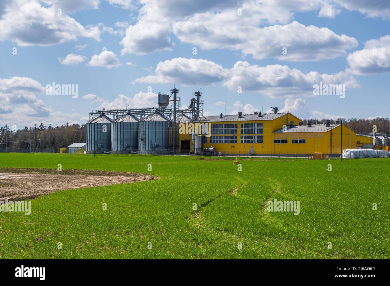 vista panoramica su silos agro elevatore granario su agro-processing impianto di produzione per la lavorazione essiccazione pulizia e stoccaggio di prodotti agricoli Foto Stock