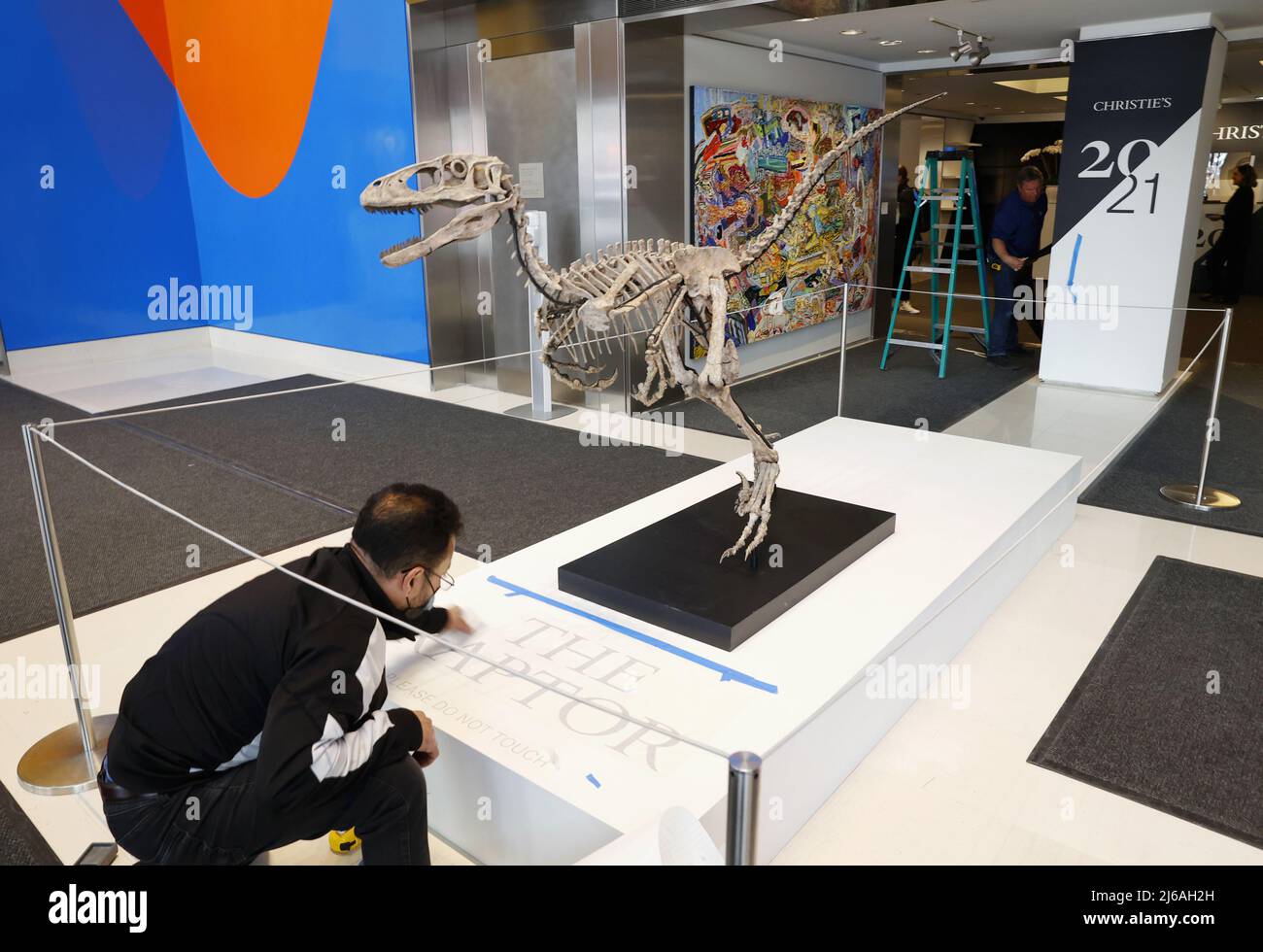 New York, Stati Uniti. 29th Apr 2022. Un completo skeleton di Velociraptor intitolato 'The Raptor' è in mostra all'anteprima stampa di Christie's 20th e 21st Century Art venerdì 29 aprile 2022 presso Christie's a New York City. Lo scheletro più completo dell'ispirazione per l'iconico "Velociraptor" di Jurassic Park è in vendita presso Christie's New York, la leggendaria casa d'aste annunciata venerdì. Foto di John Angelillo/UPI Credit: UPI/Alamy Live News Foto Stock