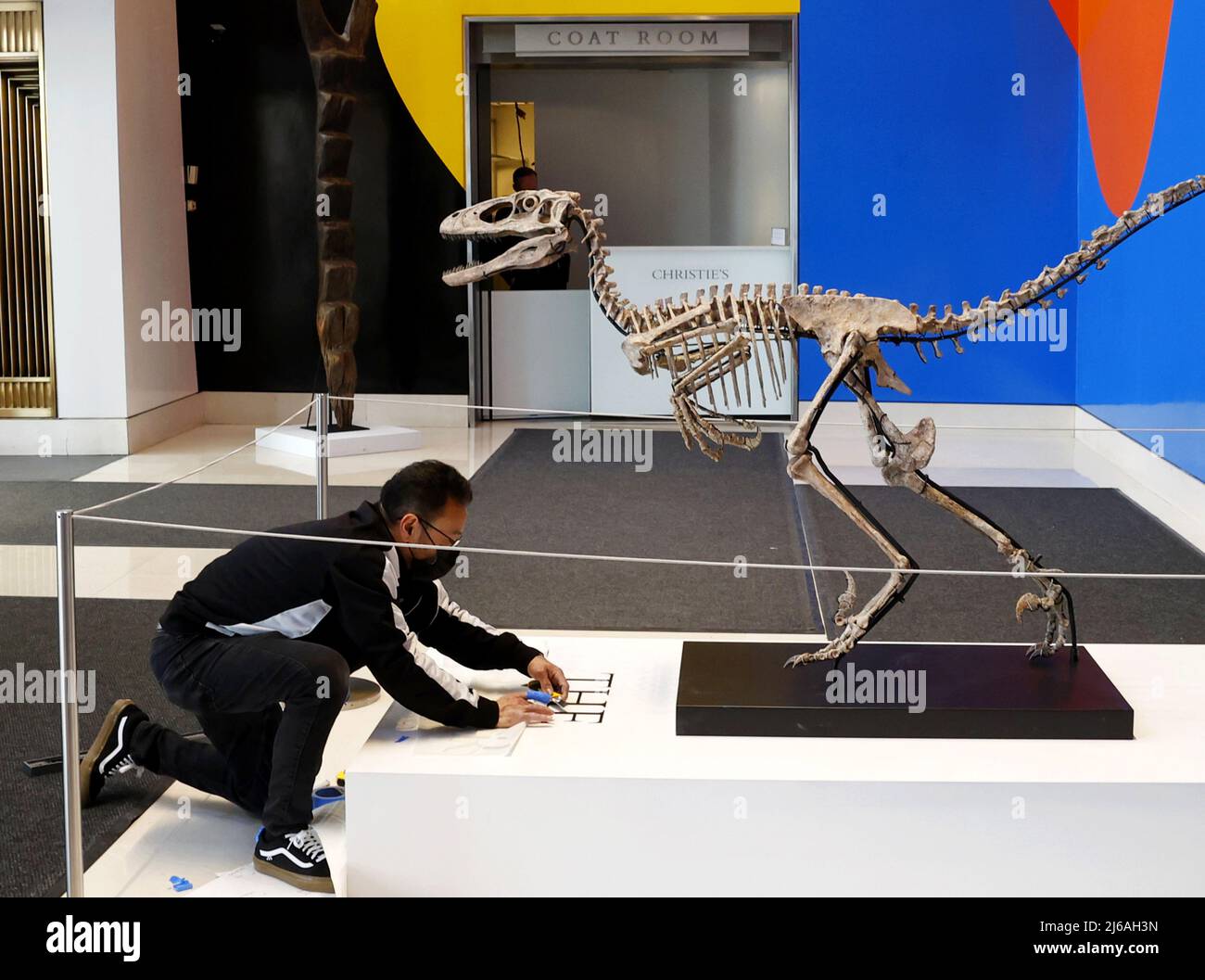 New York, Stati Uniti. 29th Apr 2022. Un completo skeleton di Velociraptor intitolato 'The Raptor' è in mostra all'anteprima stampa di Christie's 20th e 21st Century Art venerdì 29 aprile 2022 presso Christie's a New York City. Lo scheletro più completo dell'ispirazione per l'iconico "Velociraptor" di Jurassic Park è in vendita presso Christie's New York, la leggendaria casa d'aste annunciata venerdì. Foto di John Angelillo/UPI Credit: UPI/Alamy Live News Foto Stock