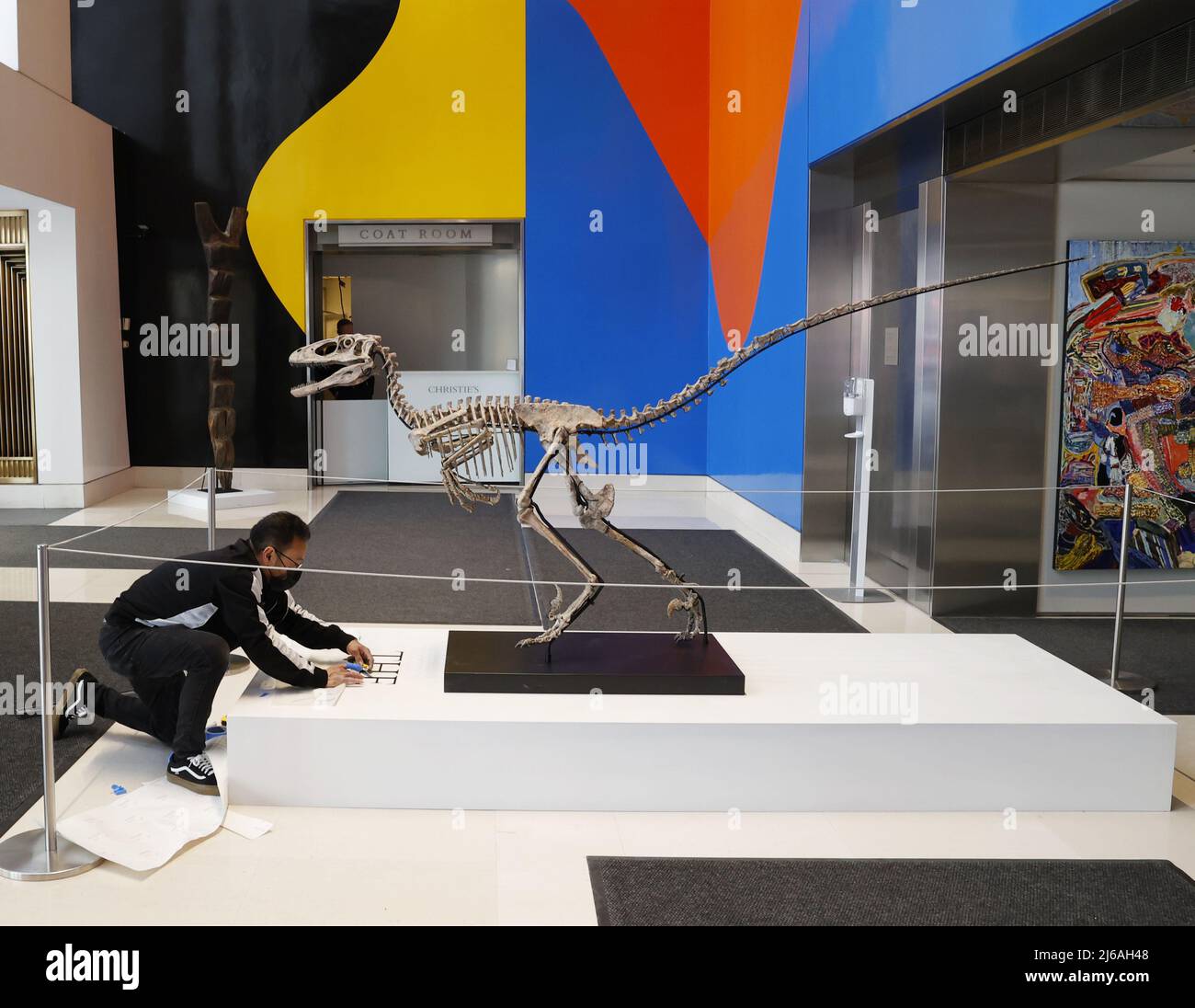 New York, Stati Uniti. 29th Apr 2022. Un completo skeleton di Velociraptor intitolato 'The Raptor' è in mostra all'anteprima stampa di Christie's 20th e 21st Century Art venerdì 29 aprile 2022 presso Christie's a New York City. Lo scheletro più completo dell'ispirazione per l'iconico "Velociraptor" di Jurassic Park è in vendita presso Christie's New York, la leggendaria casa d'aste annunciata venerdì. Foto di John Angelillo/UPI Credit: UPI/Alamy Live News Foto Stock