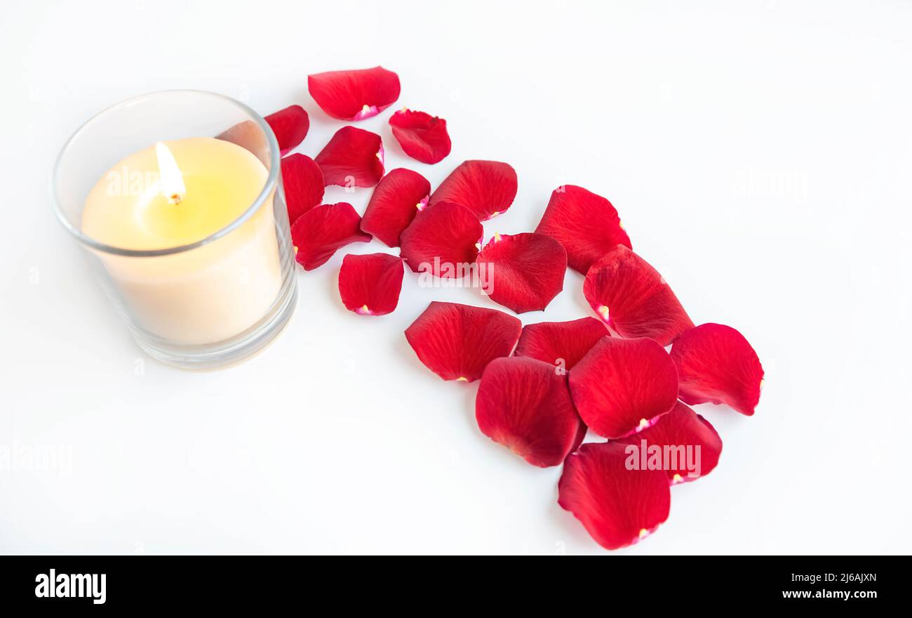 Una fiamma di candela con petali di rosa rossi sparsi è accesa su uno sfondo bianco. Foto Stock