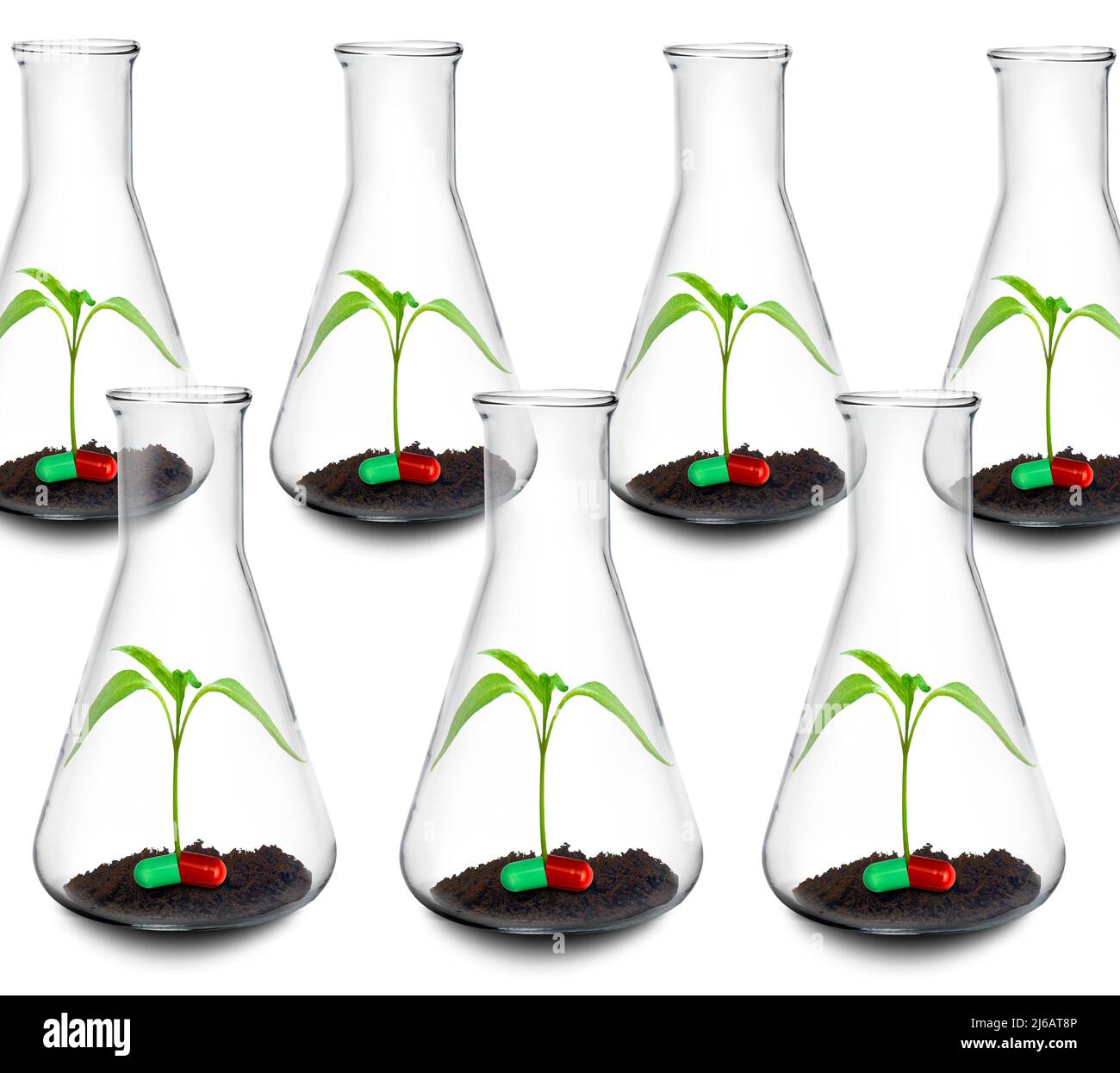 Ricerca botanica per trovare nuovi farmaci, immagine concettuale Foto Stock