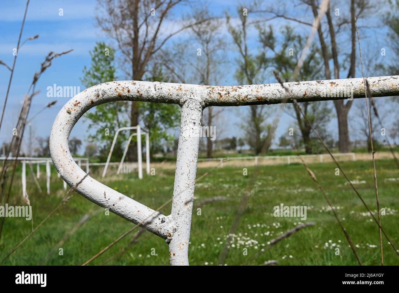 Zorbig, Germania. 29th Apr 2022. 29 aprile 2022, Sassonia-Anhalt, Zörbig: Un obiettivo di calcio si svezzano su un ex campo di calcio. La tendenza verso un netto declino dell'appartenenza ai club sportivi della Sassonia-Anhalt sembra essersi per il momento arrestata. All'inizio del 2022, circa 346.000 atleti sono stati organizzati in circa 3.000 club, un portavoce della federazione sportiva statale annunciato. Foto: Heiko Rebsch/dpa Credit: dpa Picture Alliance/Alamy Live News Foto Stock