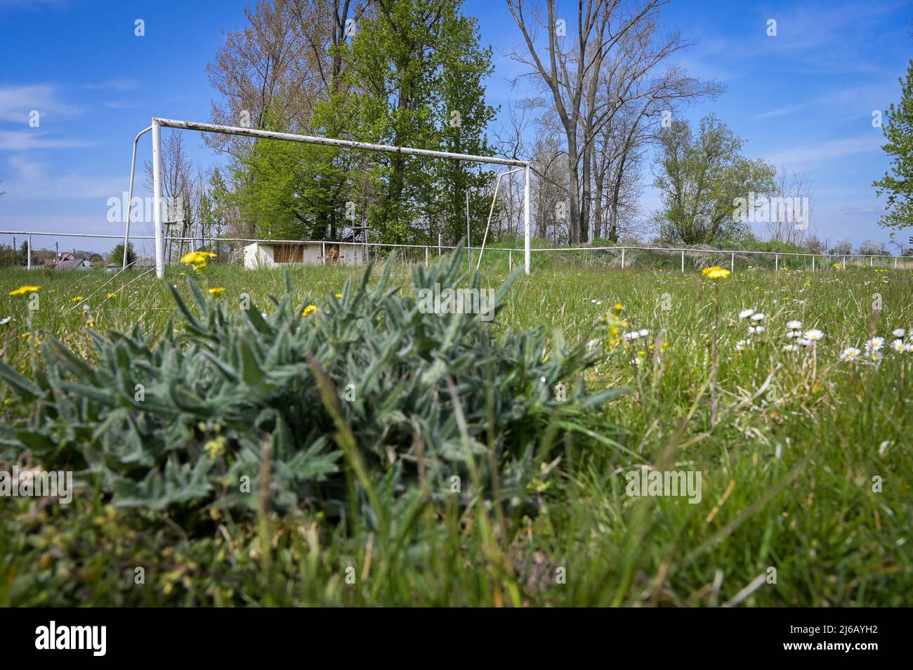 Zorbig, Germania. 29th Apr 2022. 29 aprile 2022, Sassonia-Anhalt, Zörbig: Un obiettivo di calcio si svezzano su un ex campo di calcio. La tendenza verso un netto declino dell'appartenenza ai club sportivi della Sassonia-Anhalt sembra essersi per il momento arrestata. All'inizio del 2022, circa 346.000 atleti sono stati organizzati in circa 3.000 club, un portavoce della federazione sportiva statale annunciato. Foto: Heiko Rebsch/dpa Credit: dpa Picture Alliance/Alamy Live News Foto Stock