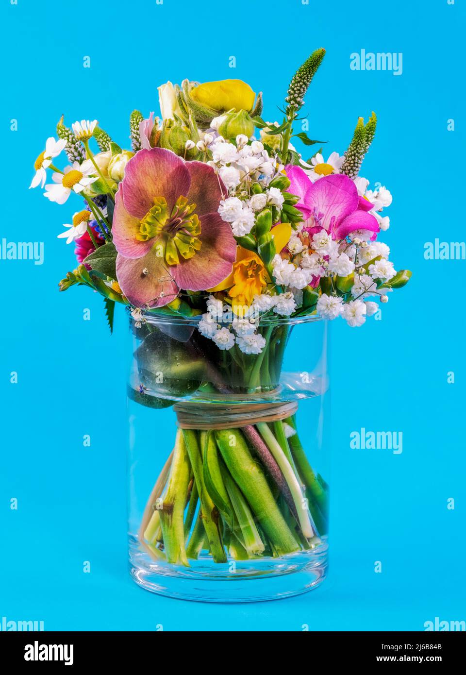 Primo piano di una disposizione di fiori di primavera in un vaso di vetro Foto Stock