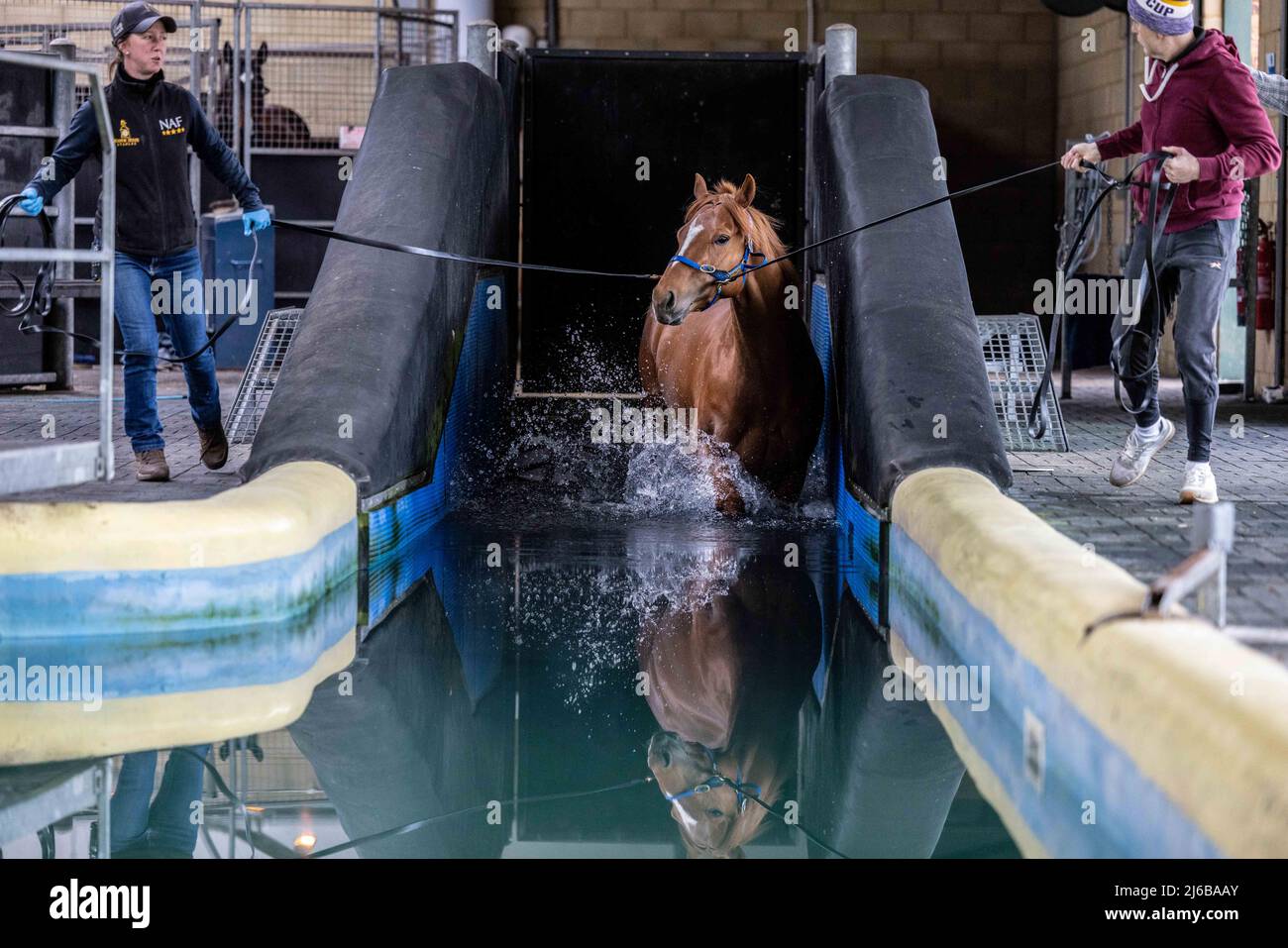 Manor House Stables, Malpas, Cheshire. Foto Stock