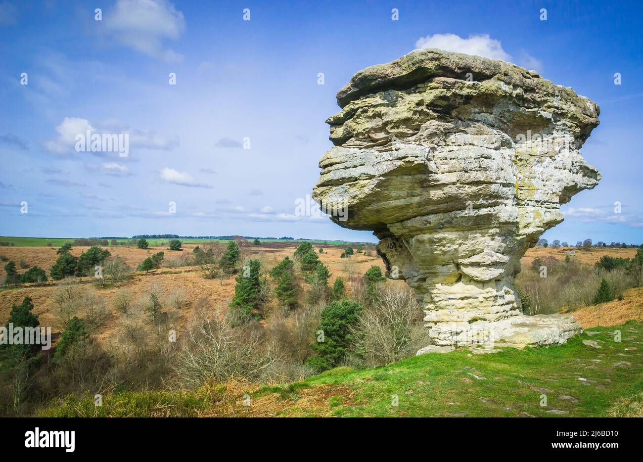 Una delle rocce che compongono i Bridestones, si trova nel North Yorkshire Moors National Park Foto Stock