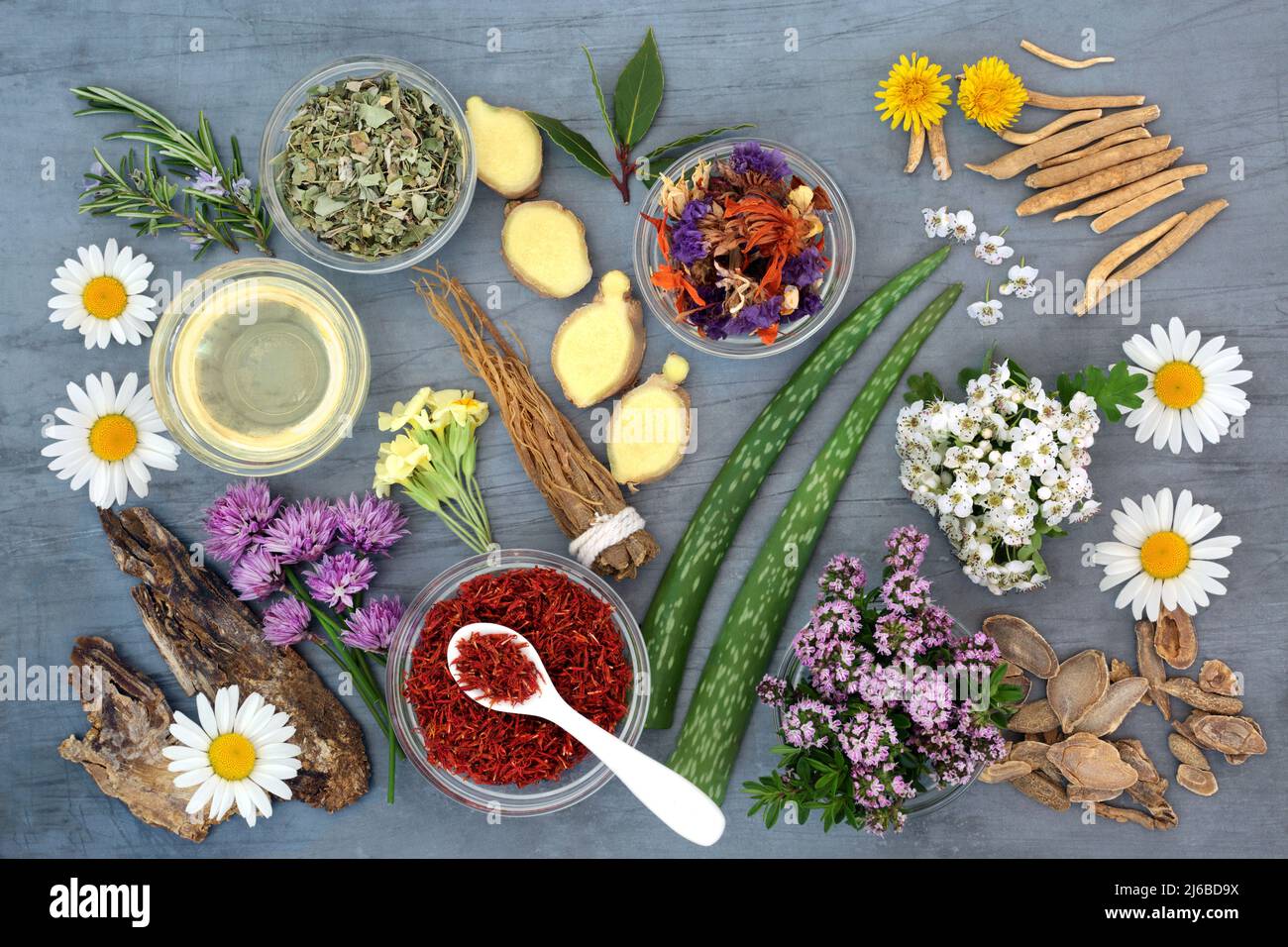 Preparazione essenziale dell'olio con erbe e fiori utilizzati in medicina vegetale e rimedi floreali in ciotole e sciolto. Concetto di assistenza sanitaria naturale. Foto Stock