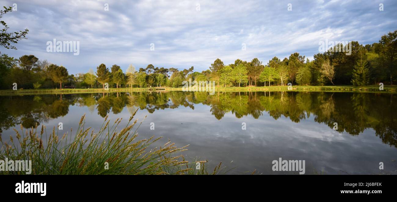 Etang de Massy au printemps (Gaillères, Sud-ouest Francia) Foto Stock