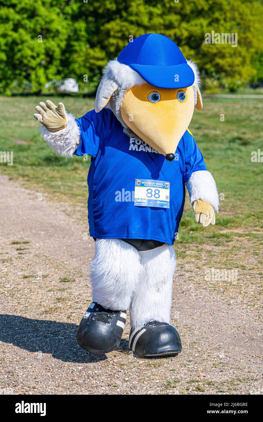 London UK,  30 April 2022. Haydon the mascot for AFC Wimbledon walks through Wimbledon Common in the bright sunshine as he takes part in  a 10km sponsored walk, with AFC Wimbledon Fans, ex-players, staff and members of  the  local community to raise funds for AFC Wimbledon Foundation.  Credit: amer ghazzal/Alamy Live News Foto Stock