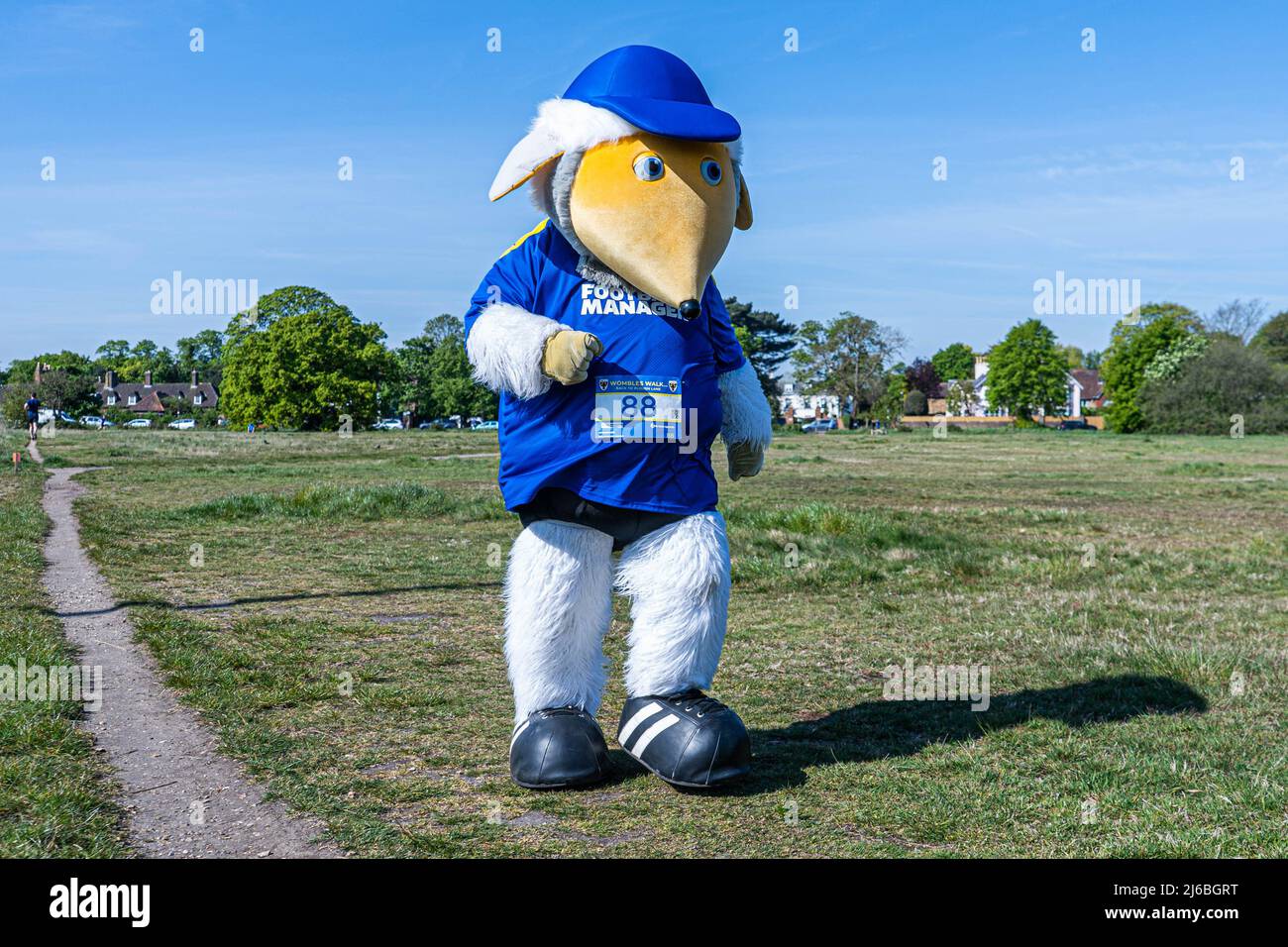 London UK,  30 April 2022. Haydon the mascot for AFC Wimbledon walks through Wimbledon Common in the bright sunshine as he takes part in  a 10km sponsored walk, with AFC Wimbledon Fans, ex-players, staff and members of  the  local community to raise funds for AFC Wimbledon Foundation.  Credit: amer ghazzal/Alamy Live News Foto Stock