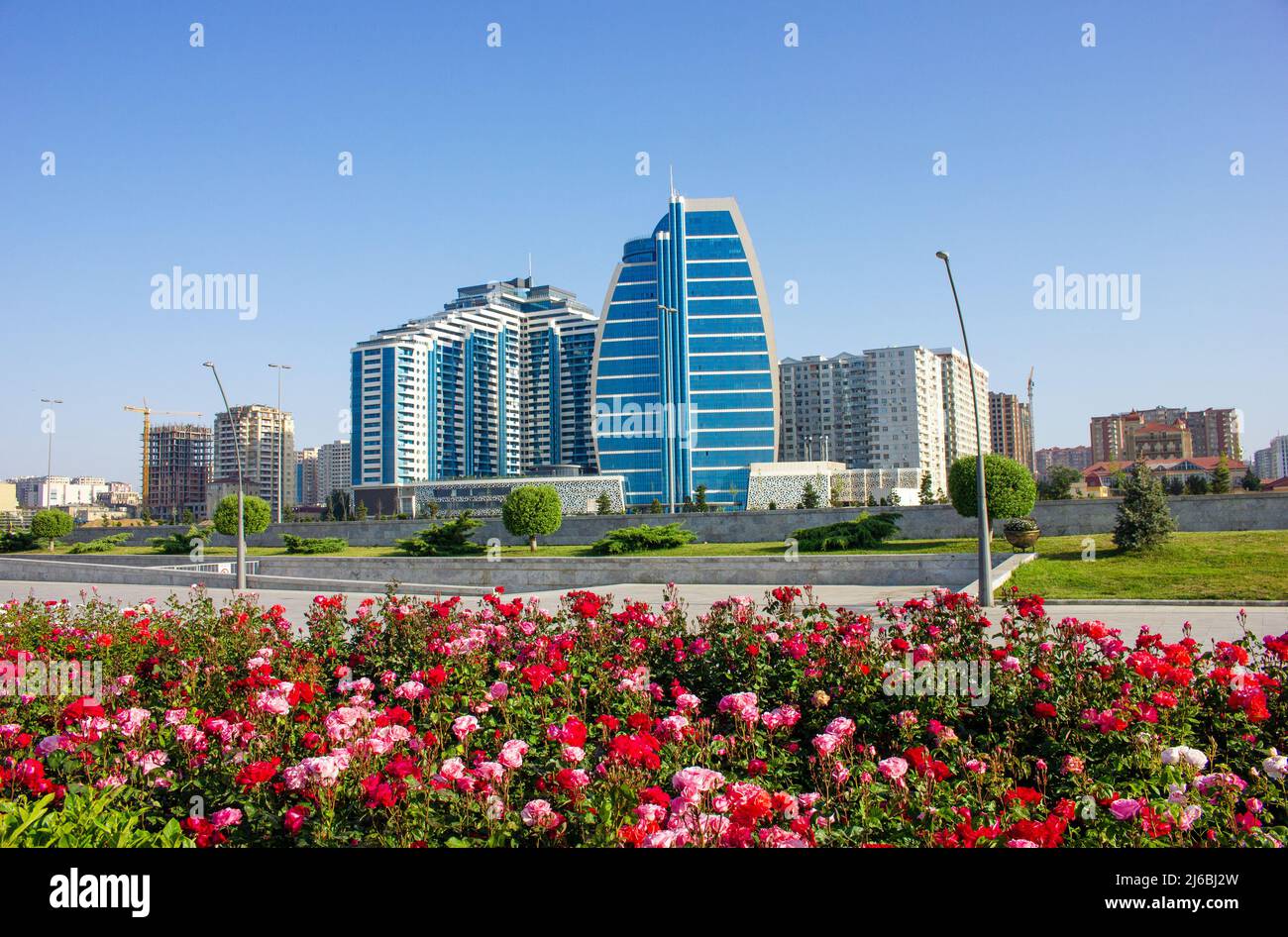 Baku. Azerbaigian. 05.23.2020 anni. Rose in fiore sul viale della Città Bianca. Foto Stock