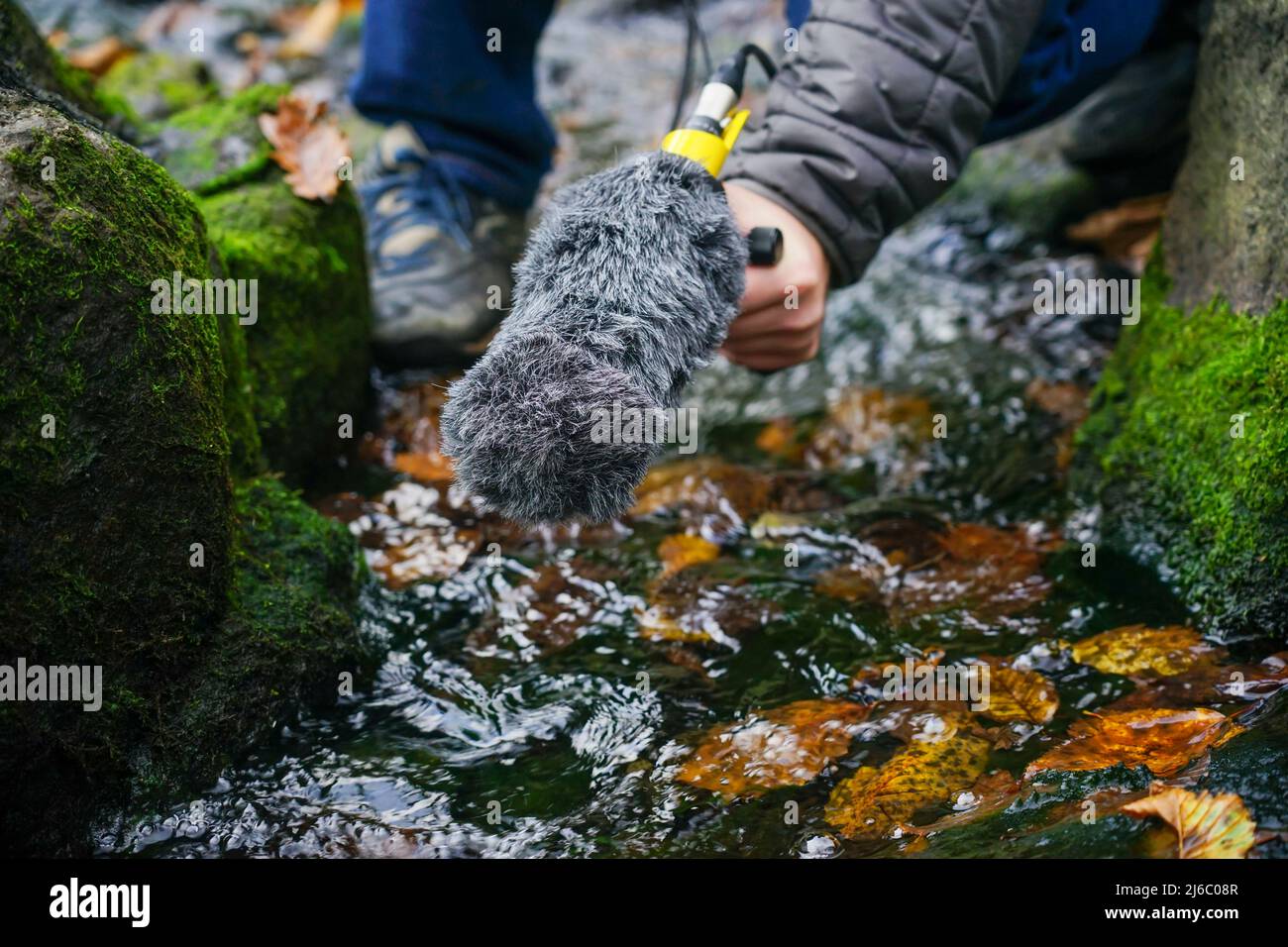 Il ragazzo sta tenendo una pistola microfono in mano. Registrazione dei suoni della natura. La mano tiene una pistola microfono per registrare suoni della natura. reg. Tecnico audio Foto Stock