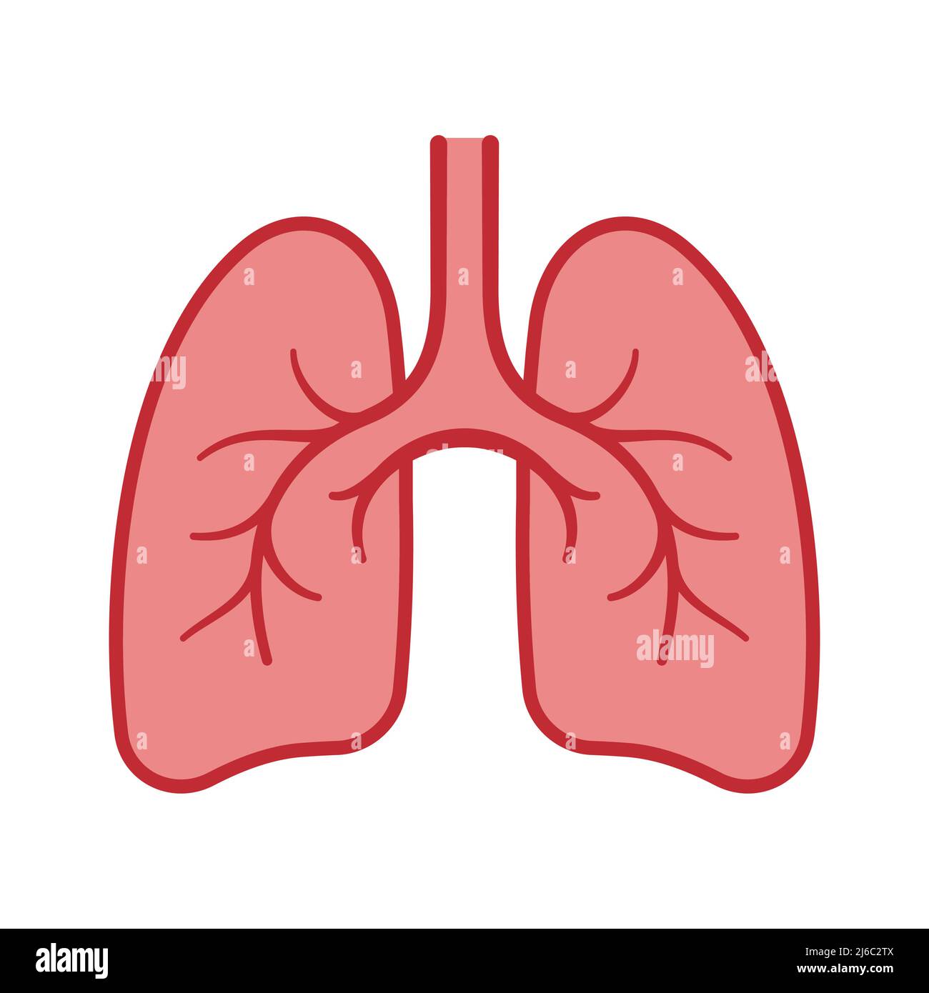 polmoni umani anatomia cartoon design piatto isolato Illustrazione Vettoriale