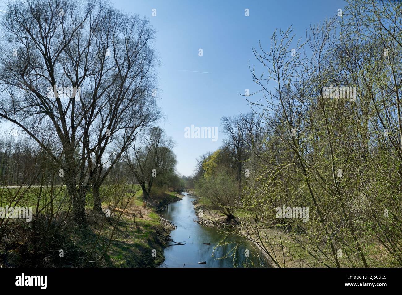 Le foreste del vecchio Reno e della pianura alluvionale in primavera nei pressi di Leopoldshafen, Germania Foto Stock