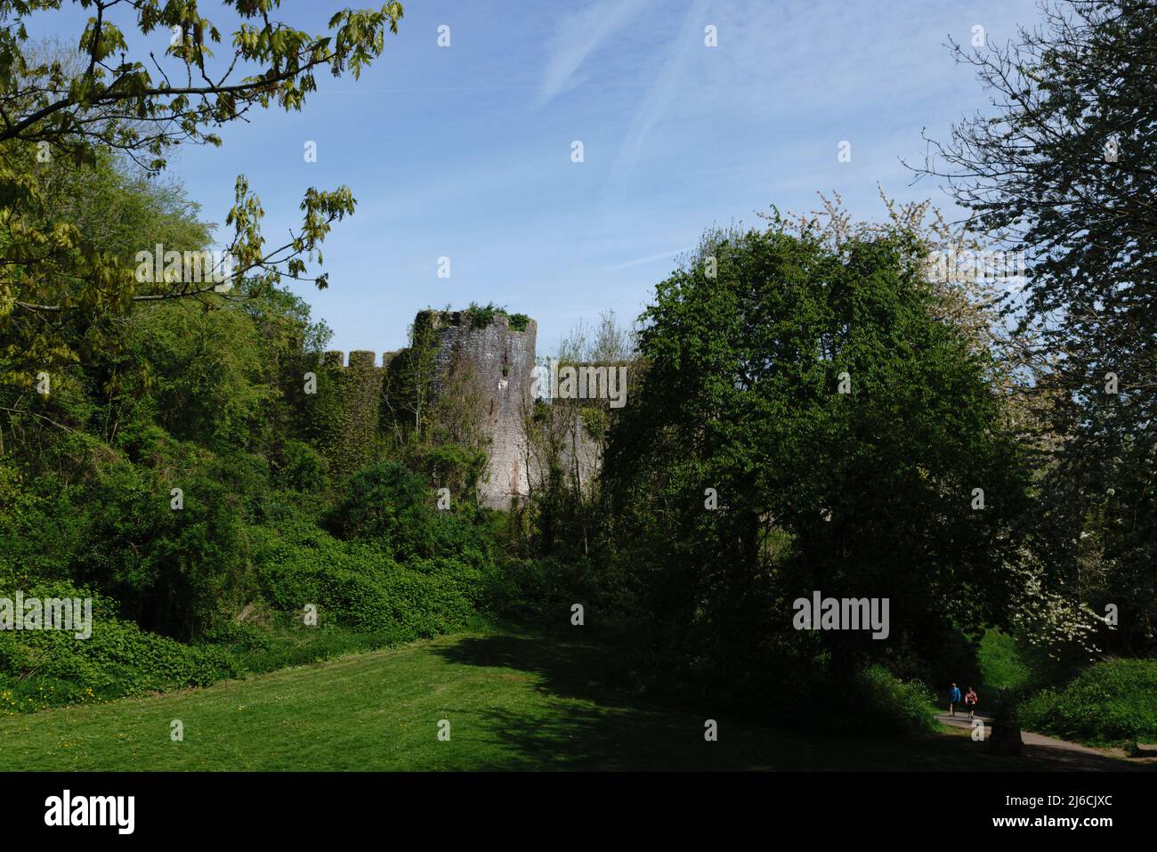 Il Castello di Chepstow sorge sopra gli spazi verdi che lo circondano, ora parco con sentieri. Foto Stock