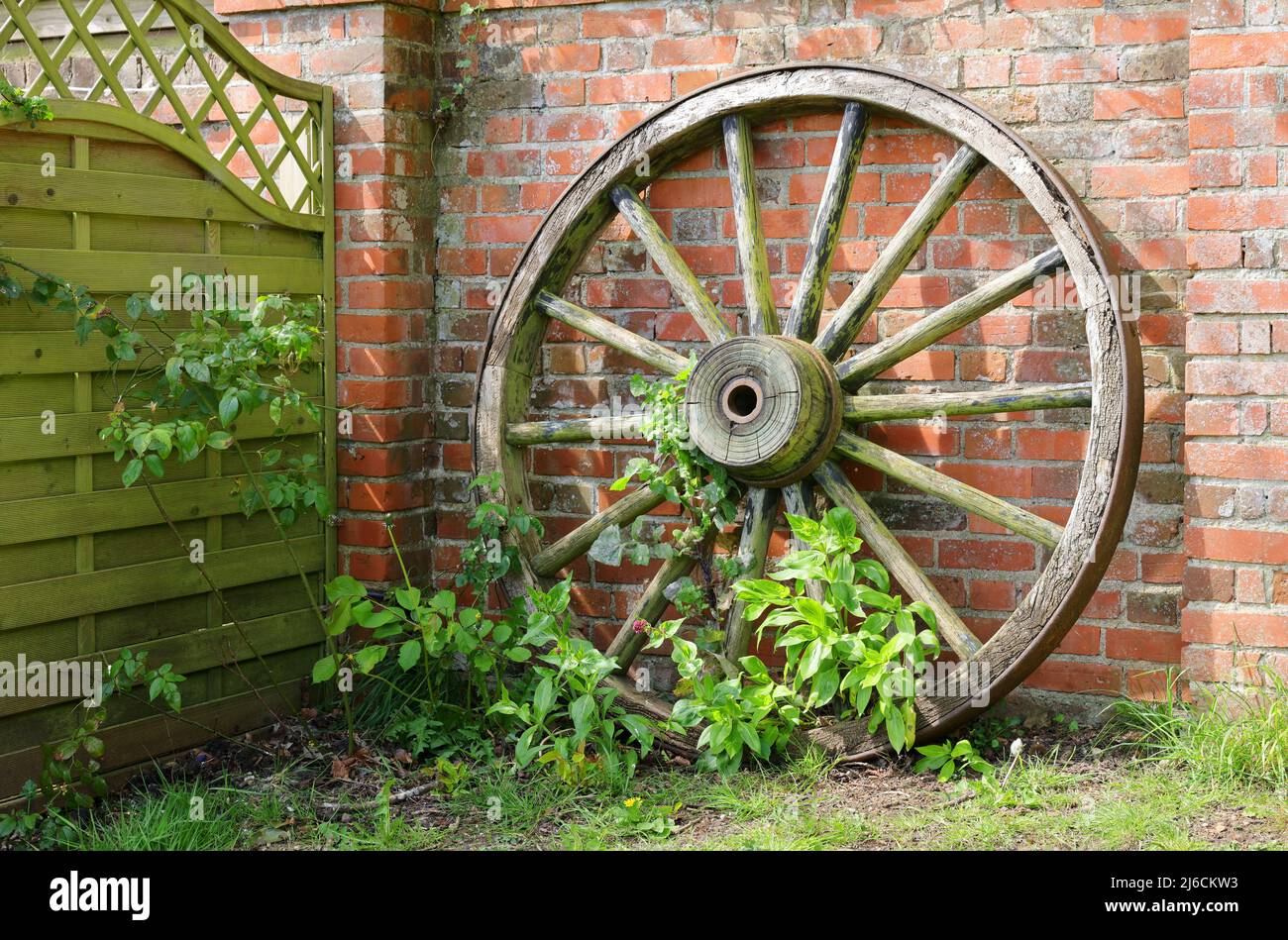 Ruota del carro in legno Foto Stock