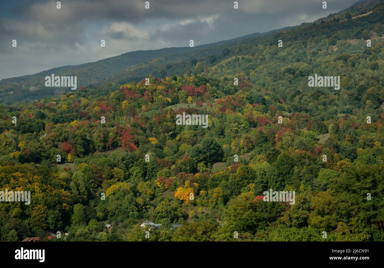 Le pendici meridionali dei Carpazi del Sud in autunno, sopra Curtea de Argeș, nella valle del fiume Argeș. Romania. Foto Stock