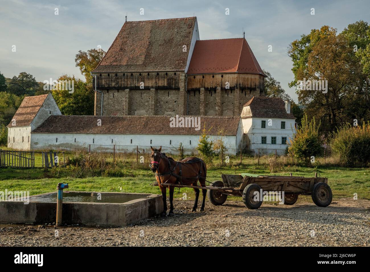 Tradizionale cavallo e carretto, di fronte alla vecchia chiesa fortificata del 14th secolo a Brădeni, Transilvania Sassonia, Romania Foto Stock
