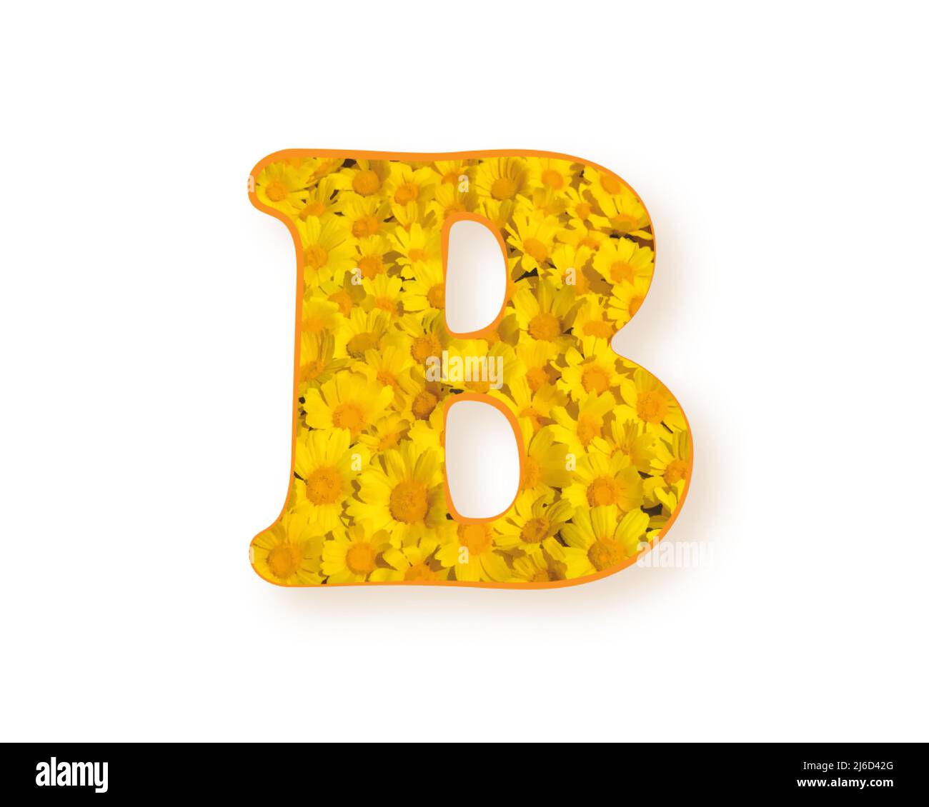Logo della lettera B. Colore giallo primavera fiore lettera maiuscola B, elemento di design alfabeto, margherite texture, illustrazione vettoriale isolato su sfondo bianco Illustrazione Vettoriale