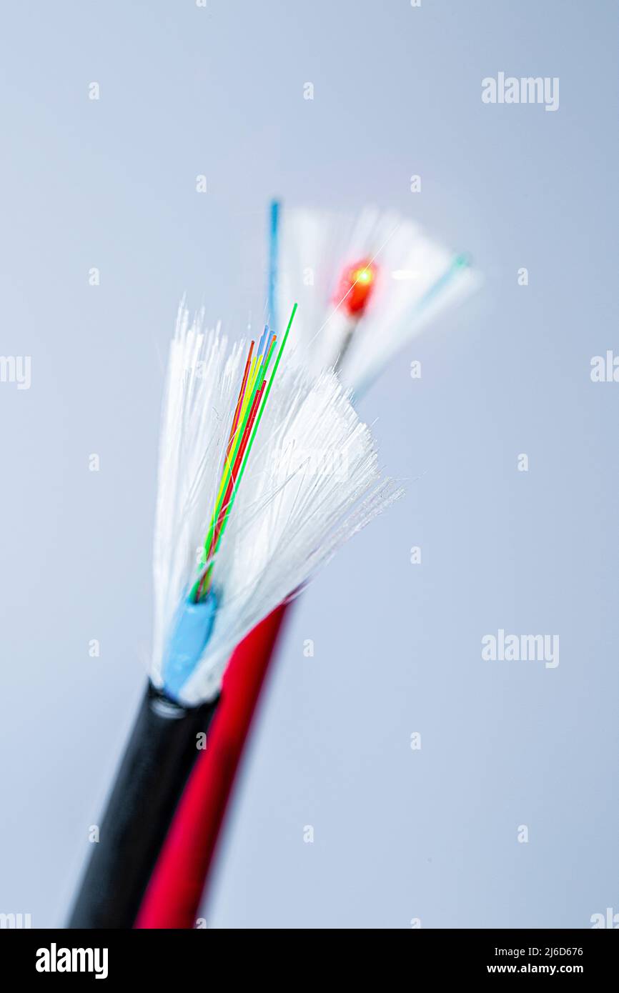 Tagliare il cavo in fibra ottica con connettori in fibra ottica Foto Stock