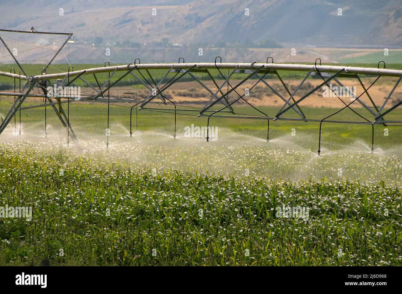 Sistema di irrigazione automatizzato per l'agricoltura Foto Stock