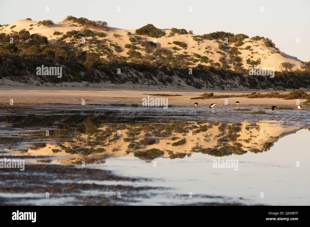 longbeach all'alba Foto Stock