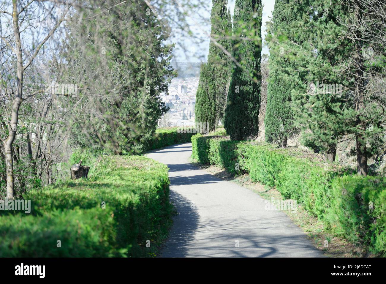 Belle strade nel parco con cespugli e alberi Foto Stock
