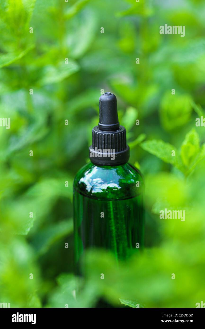 Menta essenziale oil.bottiglia di vetro verde in menta fresca verde.aromaterapia e omeopatia. Olio di menta organico Foto Stock