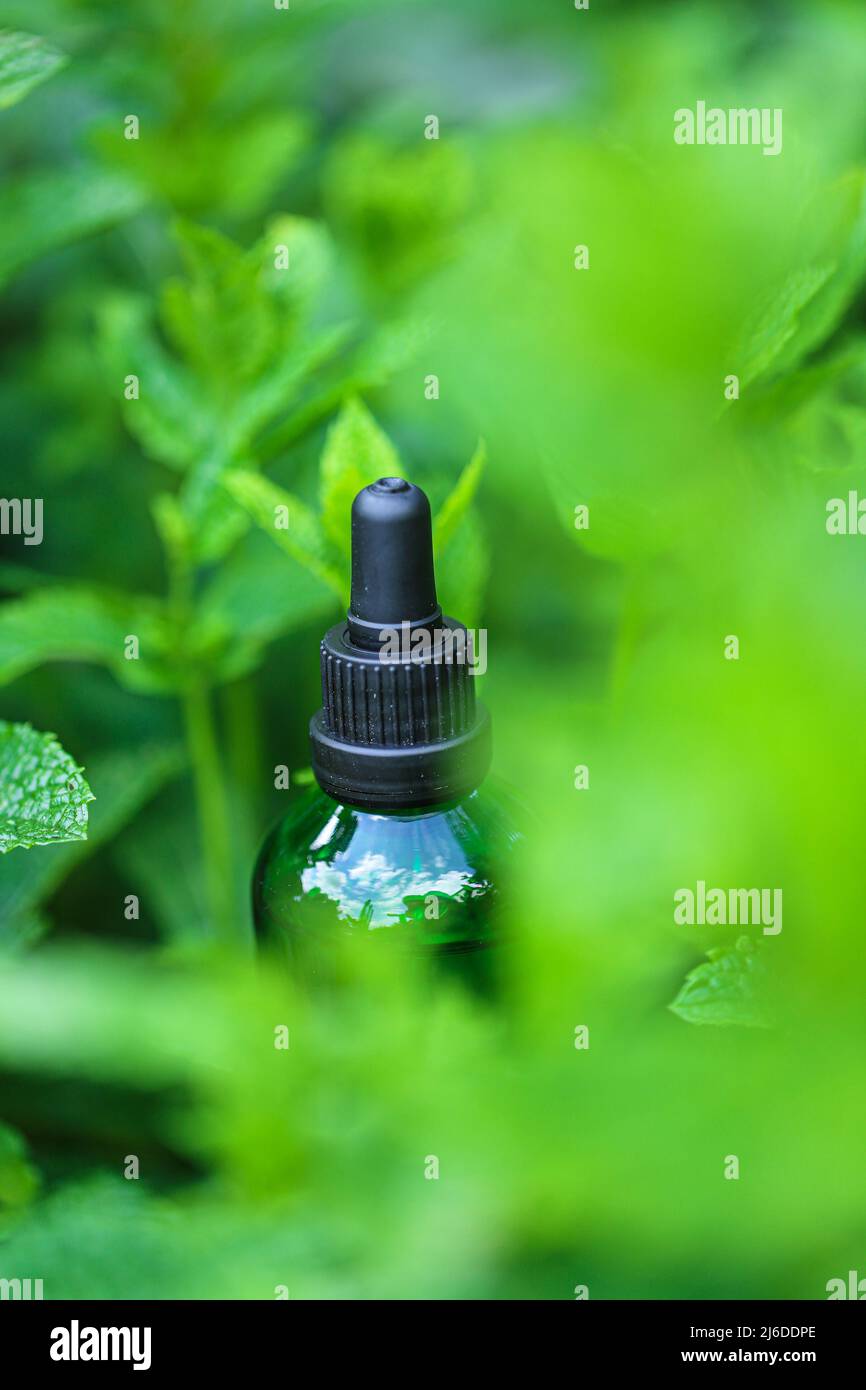 Bottiglia di vetro verde in menta fresca verde. Aromaterapia e omeopatia. Olio di menta organico Foto Stock