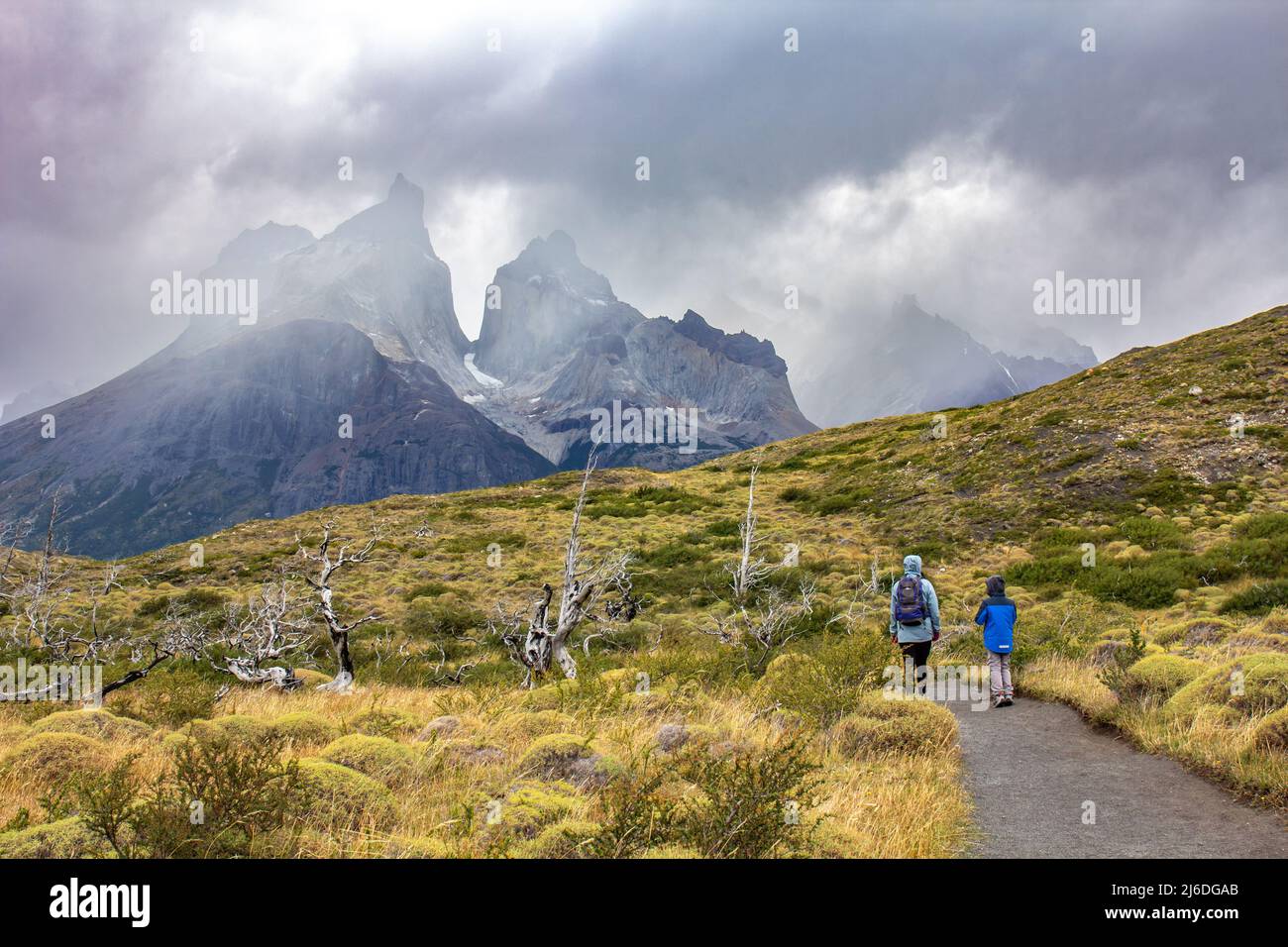Strada per il punto di vista Los Cuernos , Parco Nazionale Torres del Paine in Patagonia cilena Foto Stock