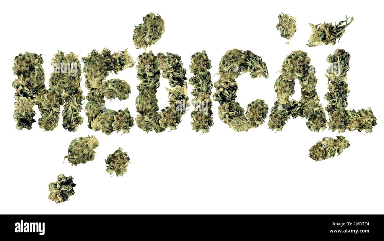 Cannabis medico e farmaci per la salute umana come marijuana psicoattiva e concetto di assistenza sanitaria con erbe medicinali legali per la terapia alternativa. Foto Stock