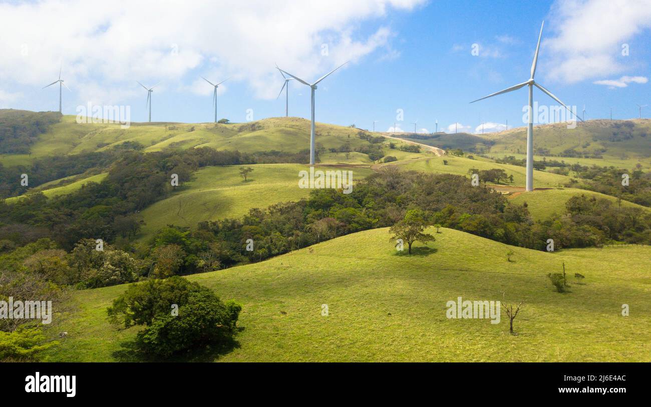Energia rinnovabile. Impianto eolico nel campo verde luminoso con alberi e prato. Costa Rica. Foto Stock