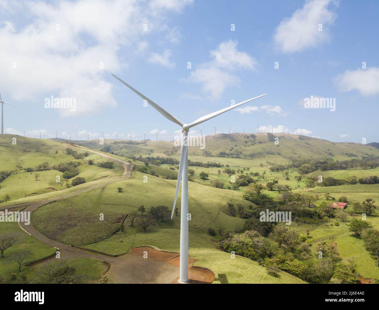Energia rinnovabile. Impianto eolico nel campo verde luminoso con alberi e prato. Costa Rica. Foto Stock