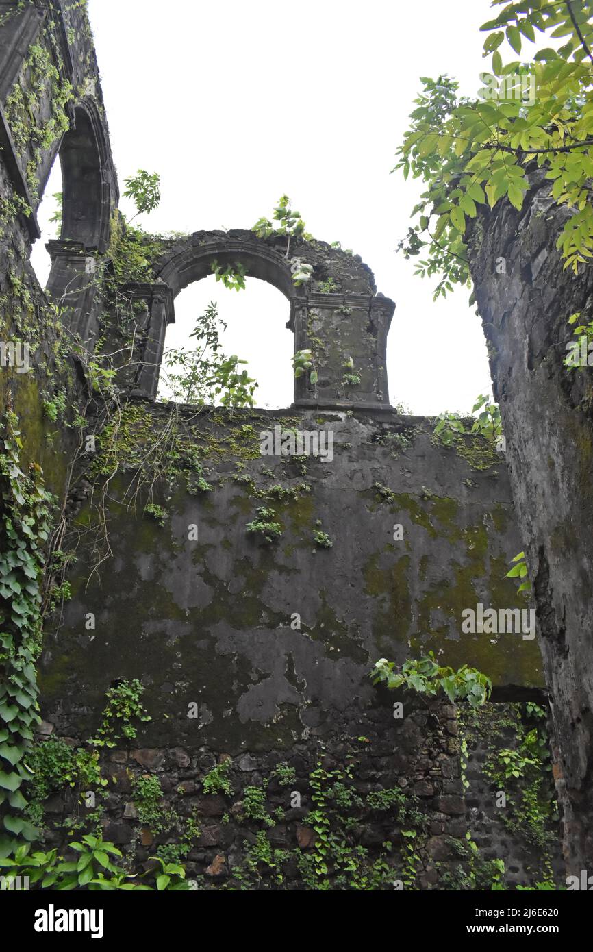 rovine del forte vasai, maharashtra, india Foto Stock