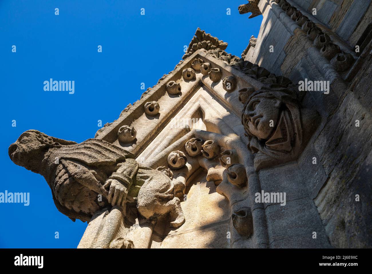 Doccioni sulla università chiesa di Santa Maria Vergine, Oxford, Inghilterra. Foto Stock