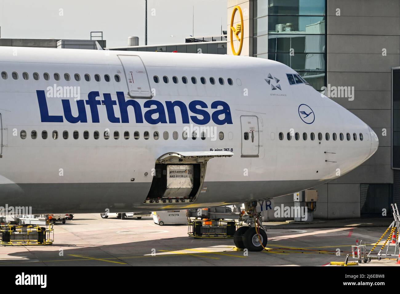 Francoforte, Germania - Aprile 2022: Vista ravvicinata della parte anteriore di un jet Lufthansa Boeing 747. Un contenitore per il trasporto aereo si trova sul bordo della stiva del carico Foto Stock