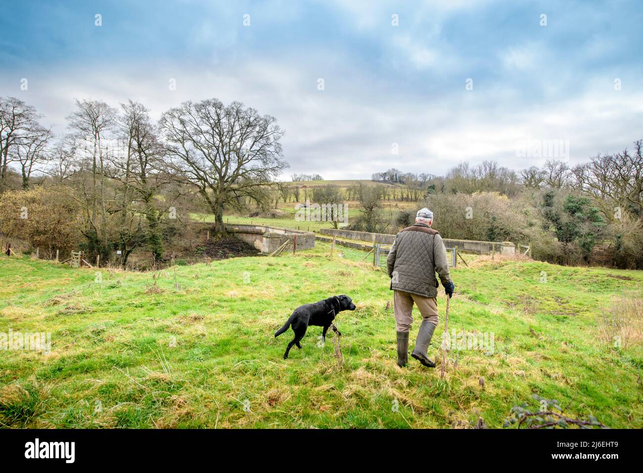 Un camminatore del cane sulla banca del vecchio canale di carbone del Somerset dove un acquedotto si dirama vicino a Midford, Bath, Regno Unito Foto Stock