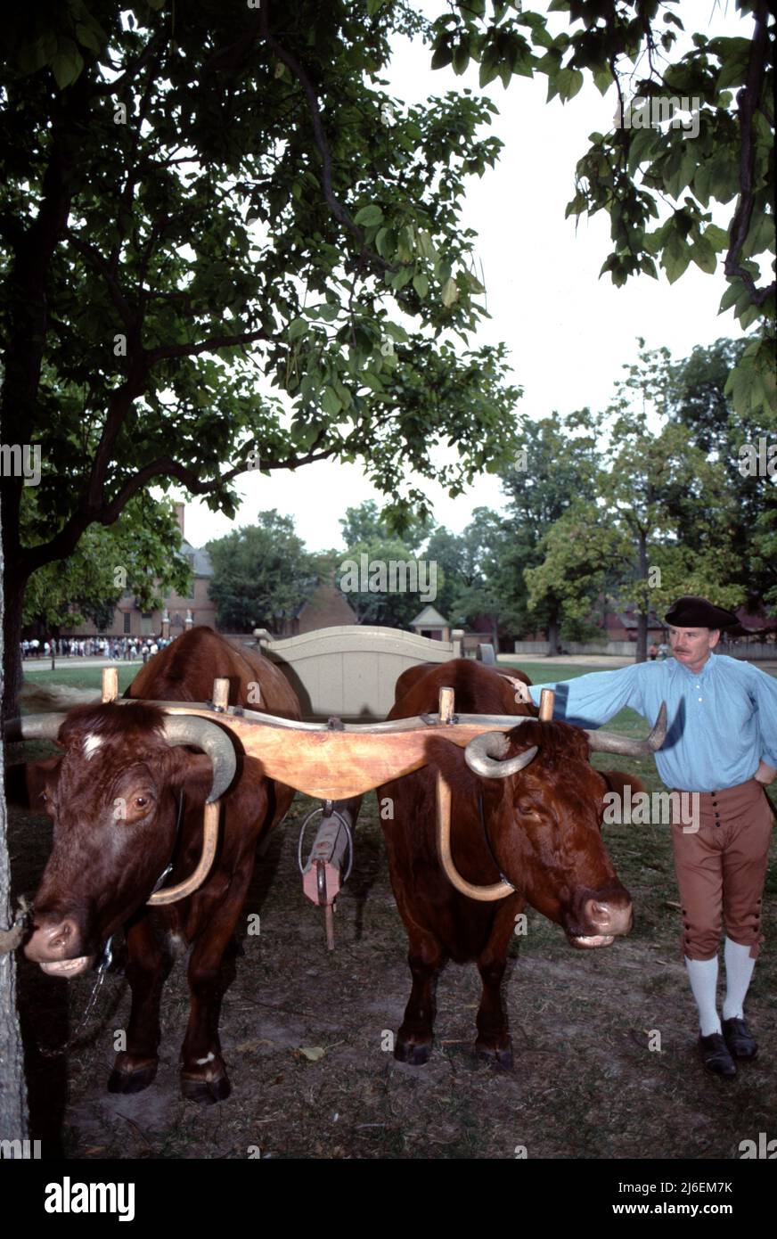 Williamsburg, Virginia. USA 9/1987. Il museo vivente americano, risalente al 18th secolo e di 301 acri, dedicato ai giovani e agli anziani. I Docenti offrono ai visitatori la storia verbale storica delle case d'epoca/replica della Virginia coloniale del 18th secolo, negozi, artigianato, Inns, taverne, E la vita quotidiana dell'America coloniale. Foto Stock