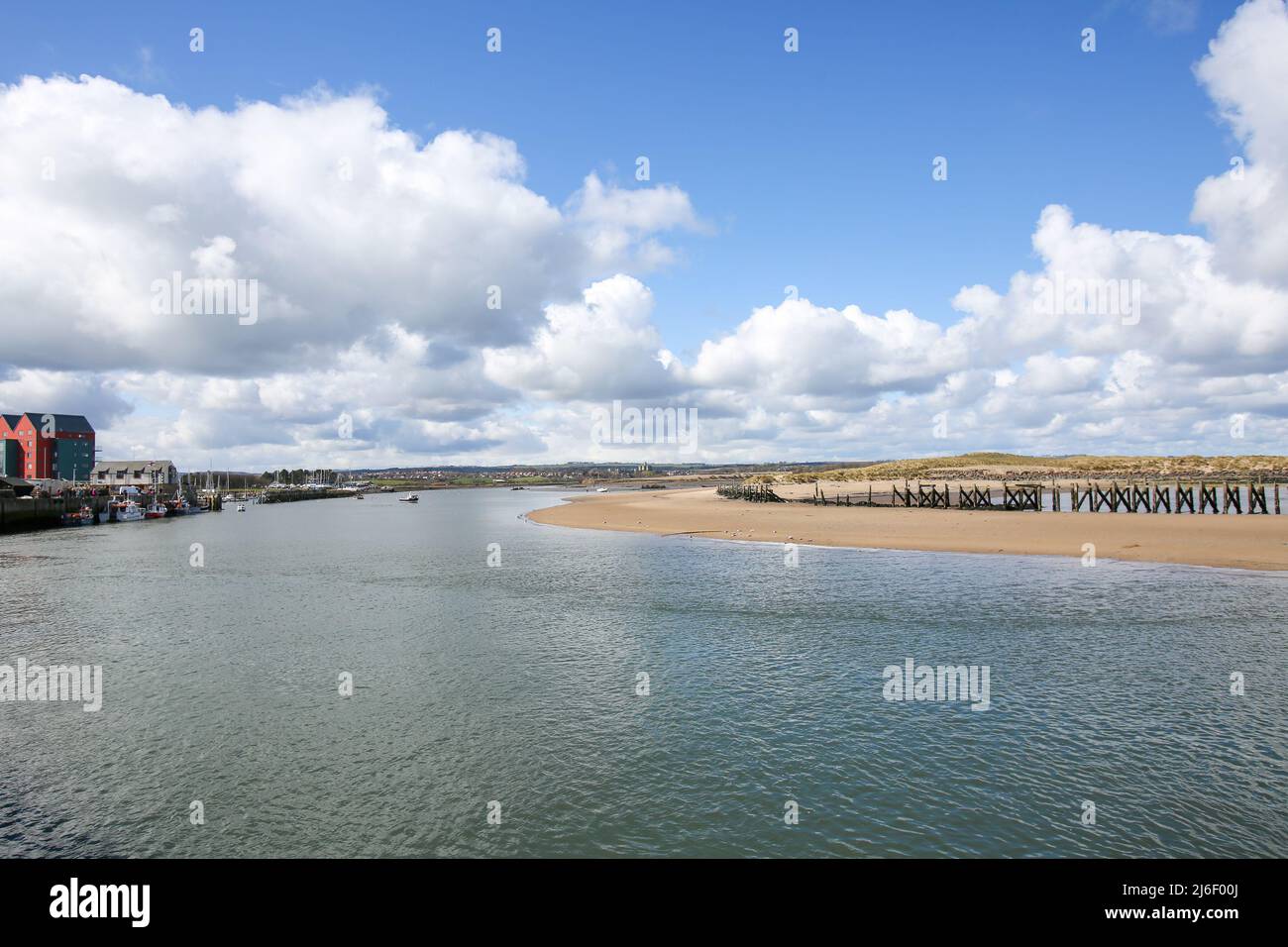 Estuary di Ramble, Northumberland Primavera 2022 Foto Stock