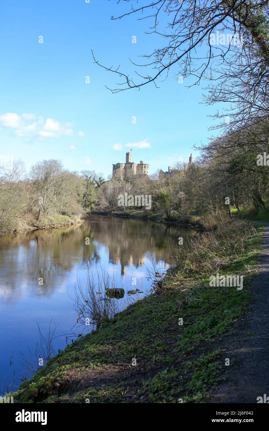 Warkworth Castello visto dal fiume Coquet a Springtime, Northumberland Foto Stock