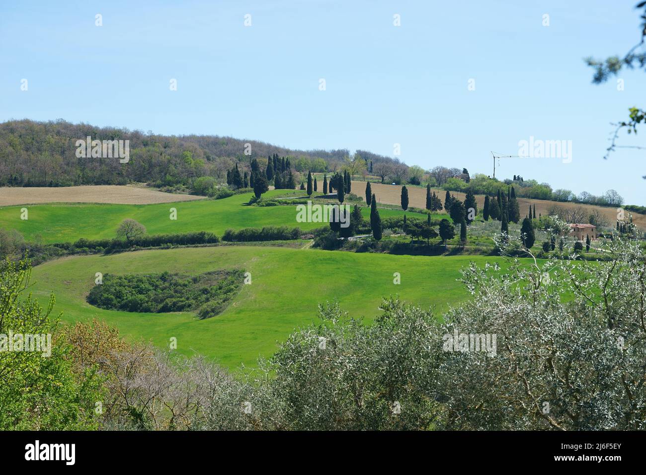 Monticchiello, Toscana, Italia, Foto Stock