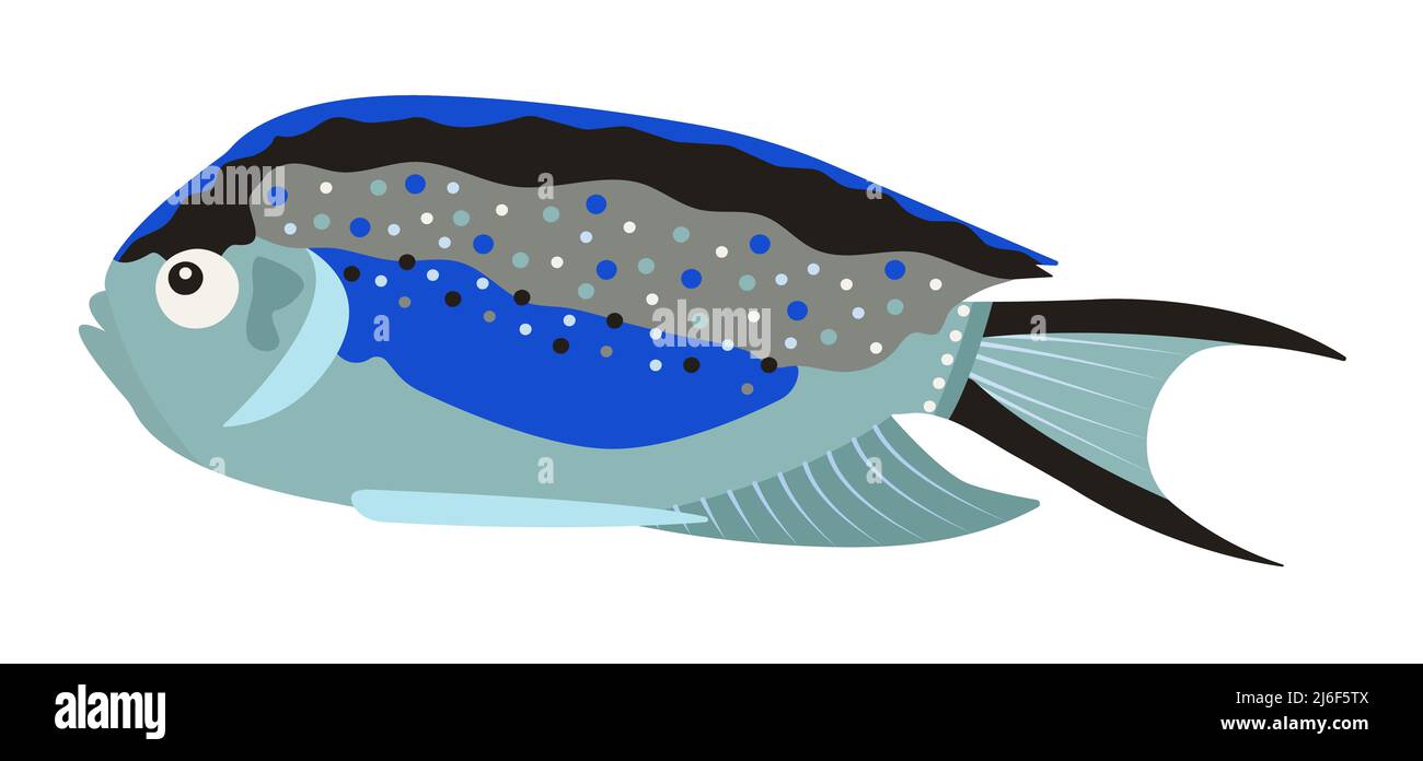 Pesce angelo verde e blu, illustrazione colorata Illustrazione Vettoriale