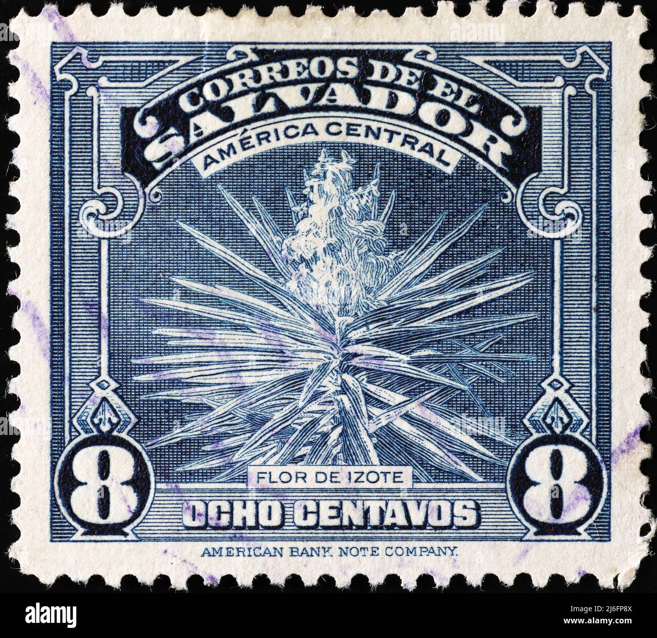 Fiore nazionale di El Salvador su francobollo d'epoca Foto Stock