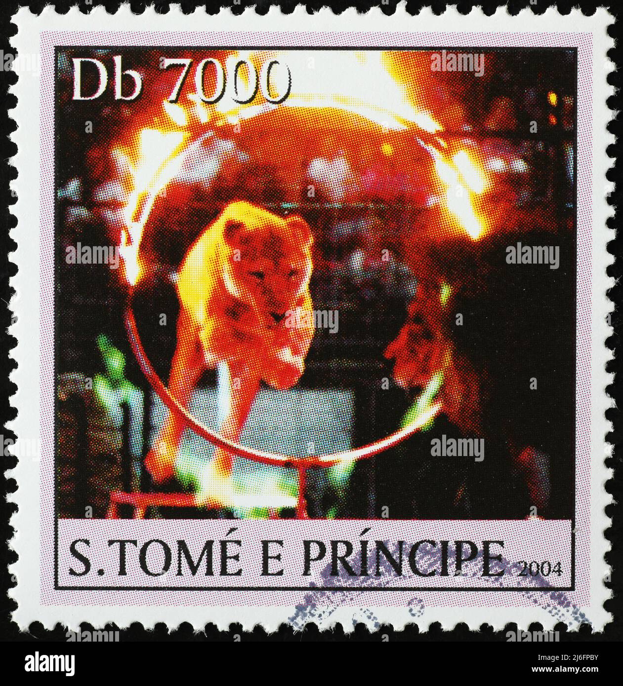Foto di leoni addestrati al circo su francobollo Foto Stock
