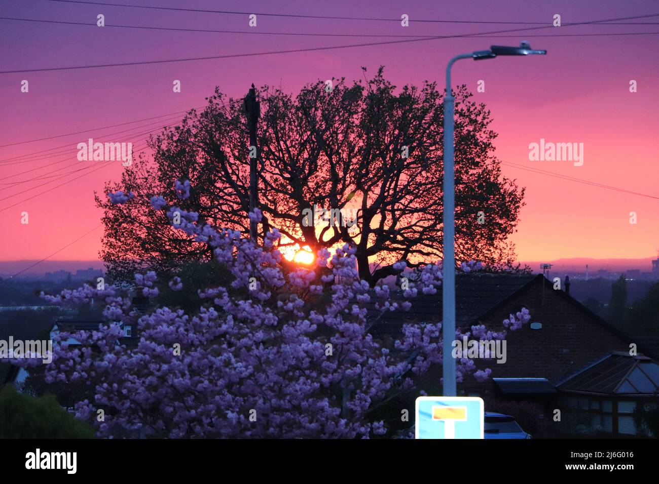 Sole che tramonta dietro gli alberi Foto Stock